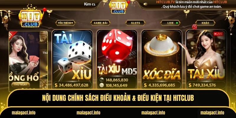 Điều khoản & điều kiện