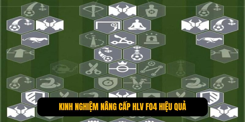 Nâng Cấp HLV FO4